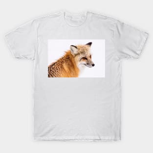 Fox T-Shirt